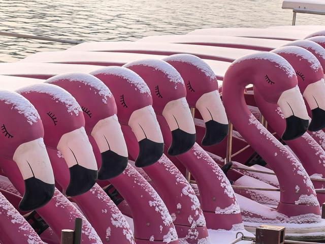 雪后的大运河森林公园，活力满满