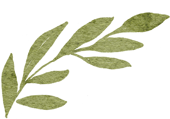 乐游绵阳 清凉一夏 ‖ 又是一年稻花香，游仙这个村庄美成治愈系油画！