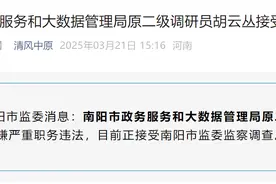 南阳市政务服务和大数据管理局原二级调研员胡云丛接受监察调查图片