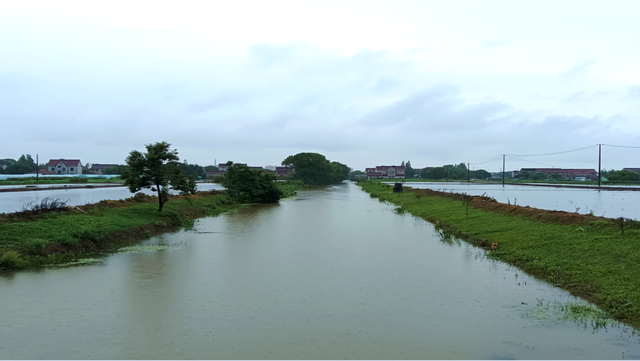 参与古镇联合申遗背后，上海新场镇的“治河”之路