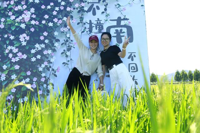 金色稻浪绘秋韵 观光火车穿行汝阳稻田小镇