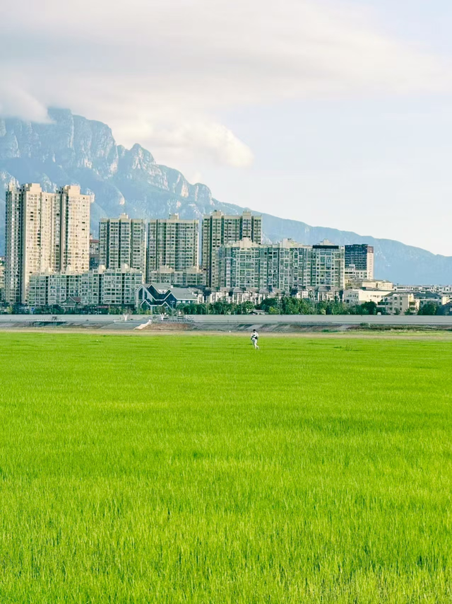 超级出片！快喊上旅游搭子来九江看“草海”
