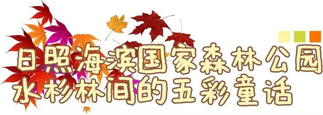 日照色彩派对开启！“美拉德”风景正当时！