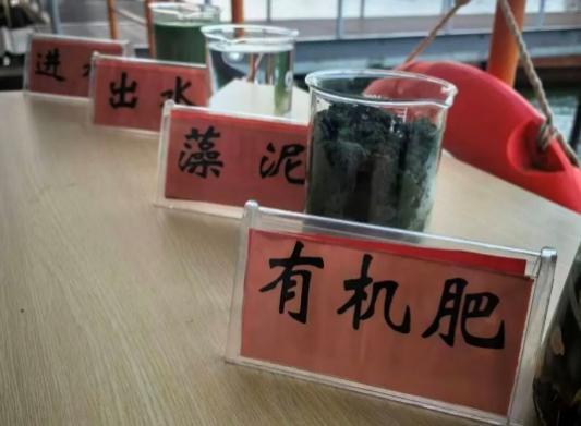 绝了！一汪清水引鱼回，美到出圈还能赚钱丨只此青绿 江山答卷