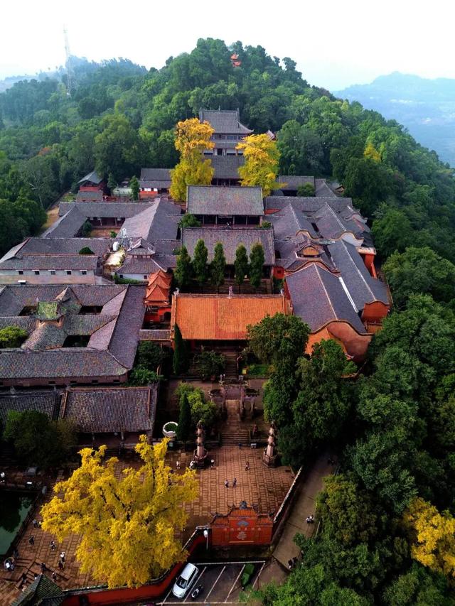 实拍！超美！成都这里的银杏黄了