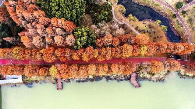 京广高铁畔的青山公园，宛若一幅浓墨重彩油画