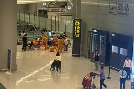 在浦东机场、虹桥机场过夜候机是啥感受？代表建议机场设睡眠舱图片