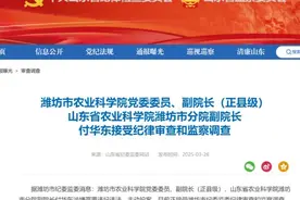 潍坊市农业科学院党委委员、副院长（正县级）付华东主动投案图片