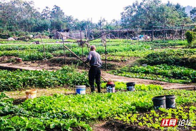 秋游时刻丨这片潇水边的沃土，才是秋天最不该错过的风景