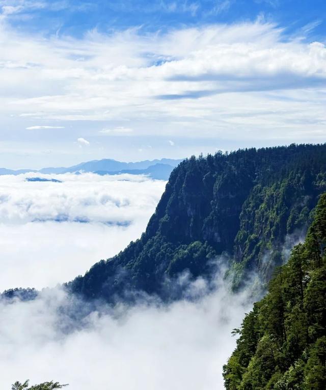 已经帮大家试过了，【免门票】的瓦屋山满是惊喜！