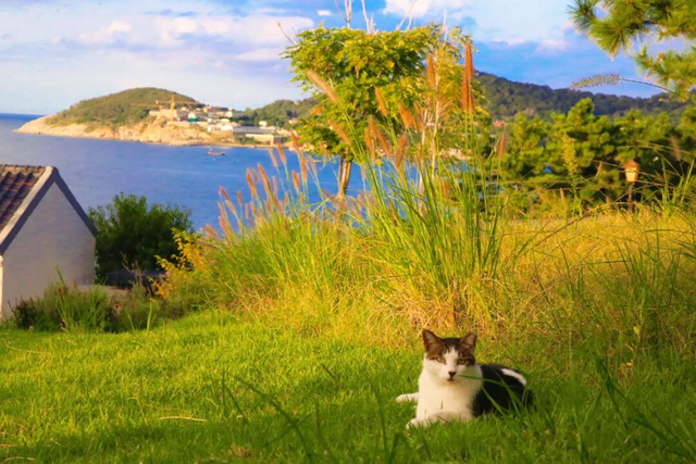 收藏！威海秋天6个超浪漫出片打卡点，90%的人都不知道！