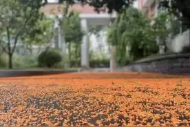 香！太香了！镇江人，你还傻傻分不清楚吗图片