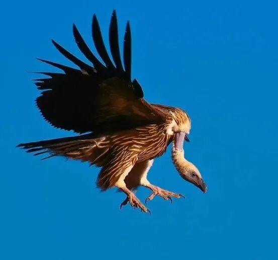 科考旅行｜秘境山南生态考察报名