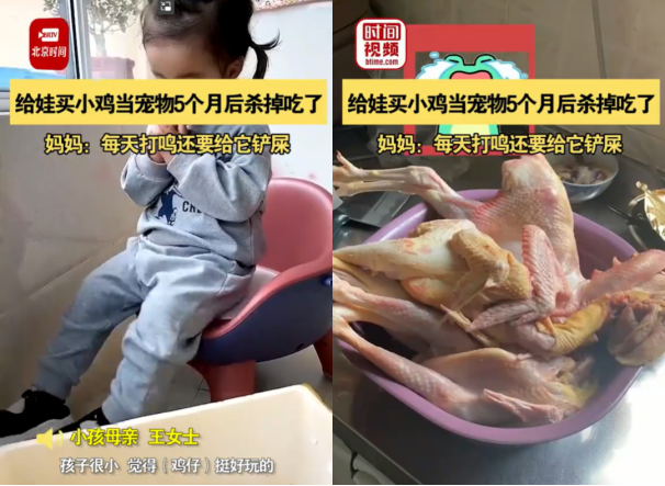 把孩子的宠物杀了吃，还拍视频！这是什么丧心病狂的父母？