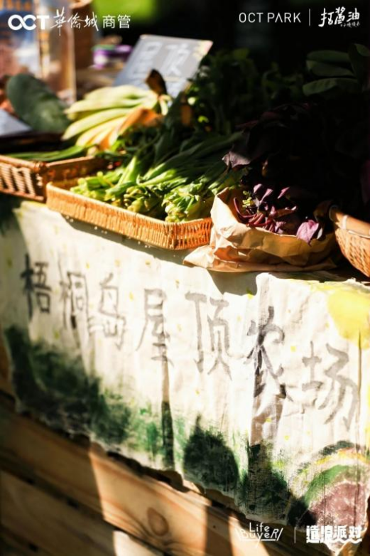 文旅融合启新程 惠民消费绽活力 ——2025 华侨城旅游狂欢节全景纪实