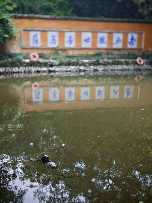 想搬去杭州了