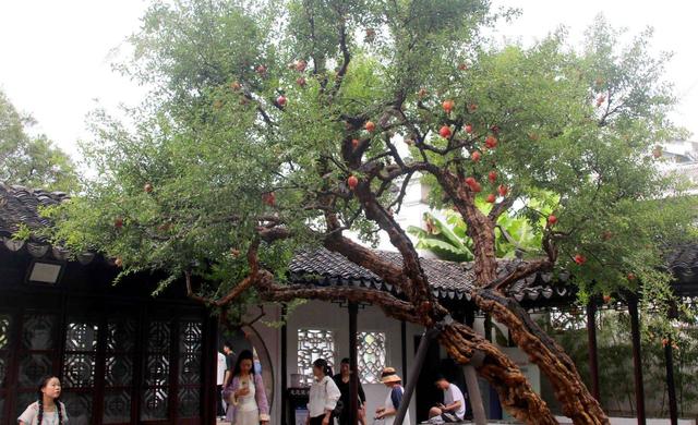 江苏苏州：古典园林怡园石榴红