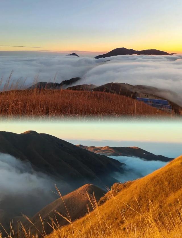 当朱迪尼克来到江西～原来这里也是疯狂动物城！