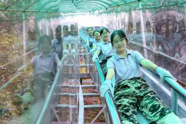 老牌景区点亮新活力！潭溪山以创新实践书写淄川文旅高质量发展新篇章​​