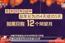 乙巳蛇年有384天！为啥？图片