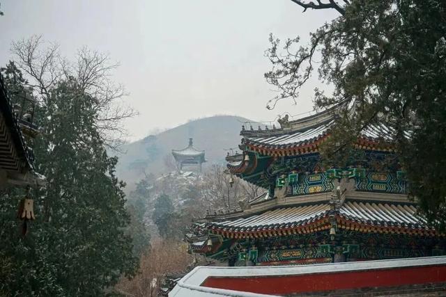 海淀哪里赏雪？打卡指南来了！走起→