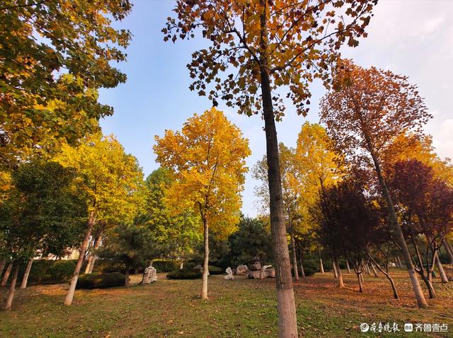 沂河岸边秋景美，抬眸尽是好风光