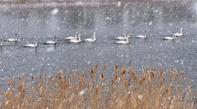 初雪染南海 高铁赴雪约