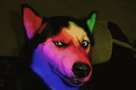 注意！这才是“使用车灯”的正确打开方式！图片