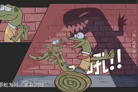 科普！蛇为啥会把四肢进化没了呢？图片