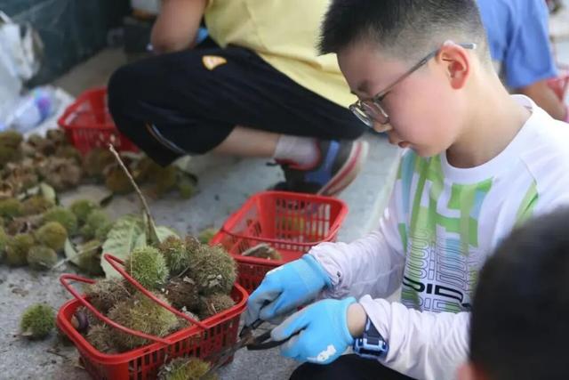 国庆中秋去哪儿玩？溧水首条科普研学路线来了!