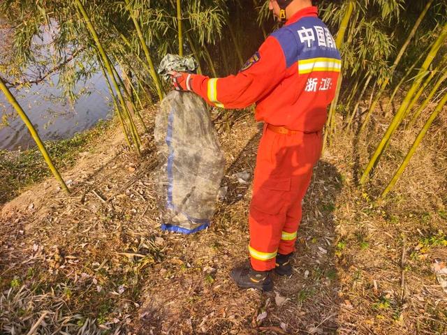 妈呀！浙江一村民家门口，惊现眼镜蛇！大妈吓出表情包