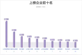 2024山东企业500强出炉图片