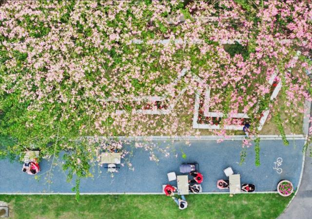 国庆就要玩好一点，“情”定陈村花花世界迷人眼
