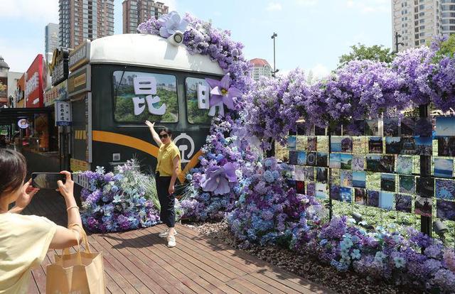 盛夏入伏时节   清凉春城引客来