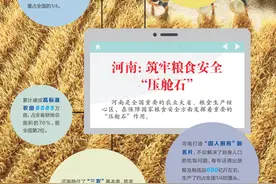 河南新乡打造科技智慧农业，保障国家粮食安全 “中原农谷”拔节生长图片