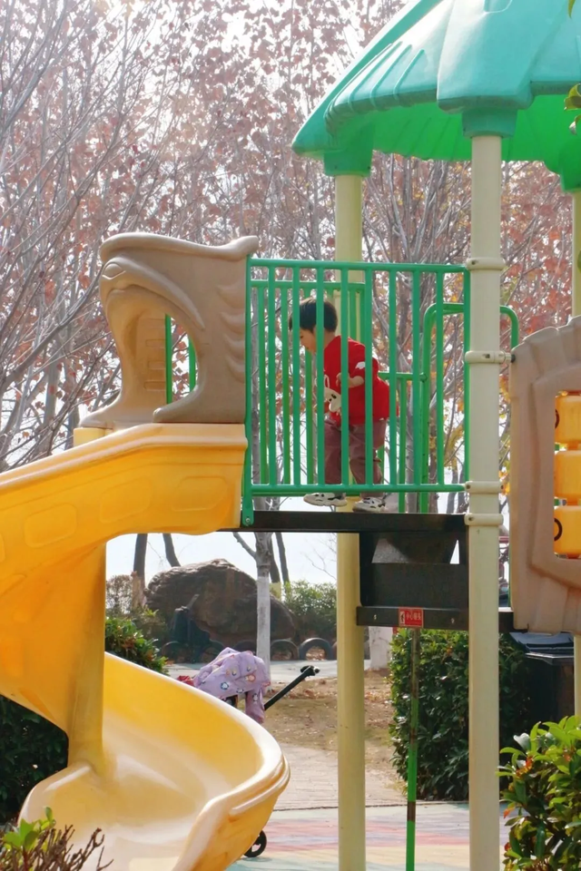 红杉秘境、白鸟起舞，武昌这座公园全都有