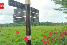 南国智库·财经观察 | 琼海龙寿洋景区缘何被取消等级，未来何在？图片