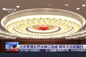 新治安管理处罚法修订：宠物伤人可直接治安处罚图片