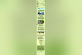 巴陵记者打卡集丨千年古镇樟树港的“太空辣椒”丰收了图片