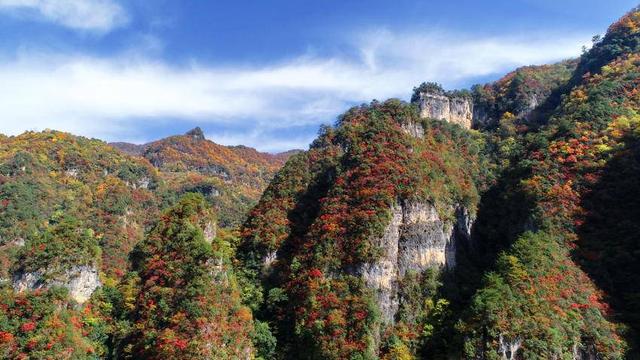 寻美兴山：又见榛子红