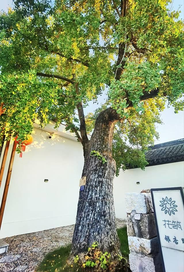 自驾游｜我们在余山岛的72小时