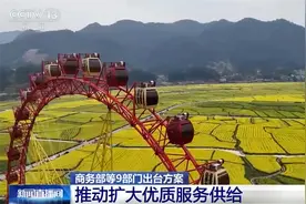 国内国际双循环、供需两端发力 多部门出台方案激活消费市场“一池春水”图片