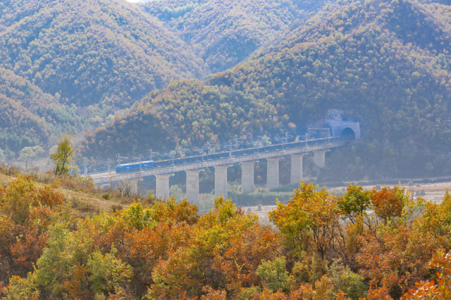 层林尽染时，他们用脚步丈量如画风光