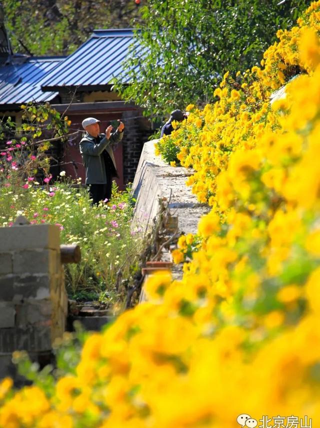 多彩京秋各区巡游 |房山区美翻了！秋日限定~