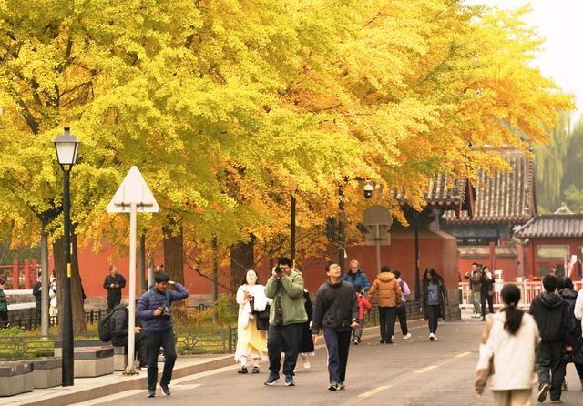 故宫筒子河畔，秋色醉人