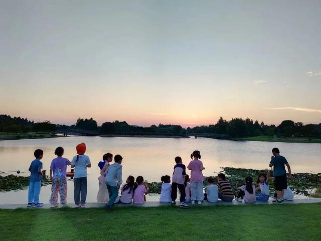 上海夏夜专属福利！这些地方能邂逅萤火虫与“夜精灵”的狂欢
