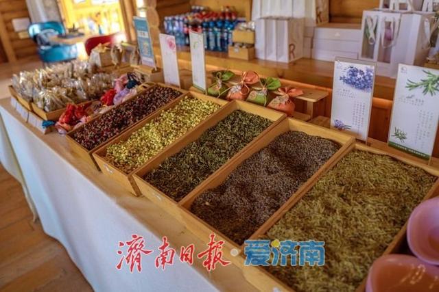 一年四季 泉在济南丨济南九如山：秋日斑斓如诗画，手工体验让秋天 “触手可得”