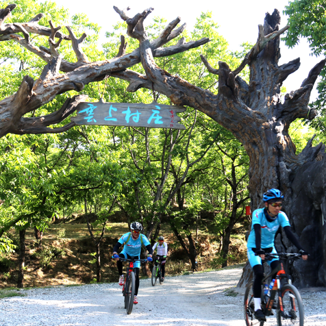 来漾濞的十个理由！每个都很好……