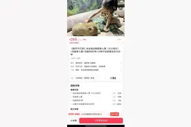 268元套餐可撸狮子？西安一动物园回应图片