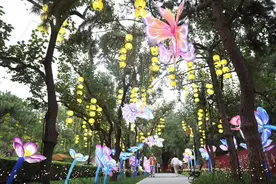 昼观花、夜赏灯，日坛公园金秋游园会开幕图片